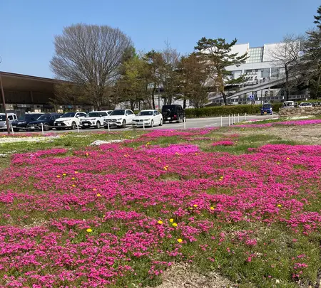 軽井沢アウトレットの写真・動画_image_601415