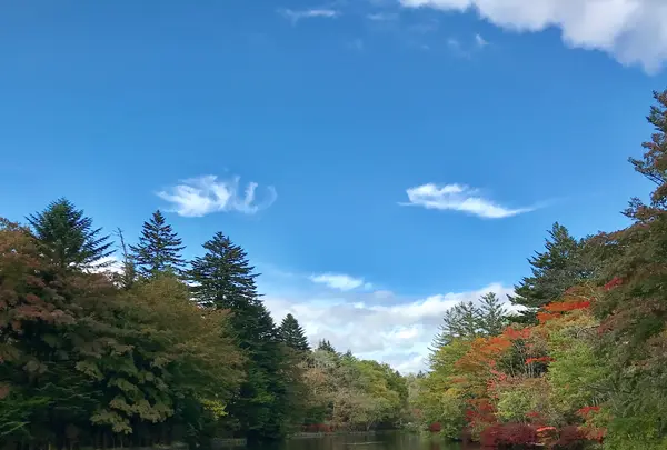 雲場池の写真・動画_image_601423