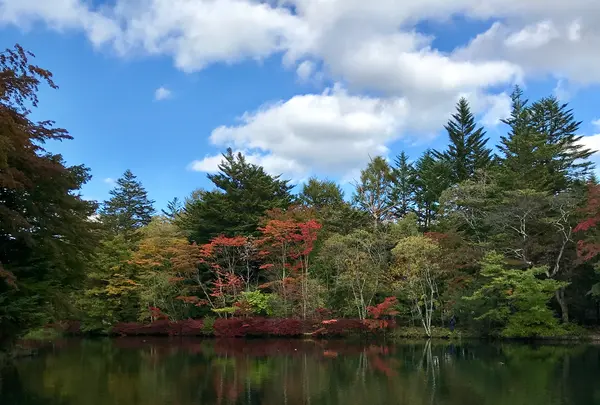 雲場池の写真・動画_image_601424