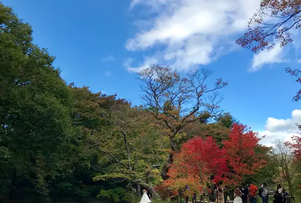 雲場池の写真・動画_image_601425
