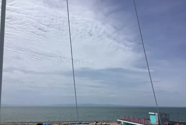 魚津埋没林博物館の写真・動画_image_601678