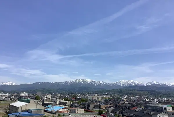 魚津埋没林博物館の写真・動画_image_601679