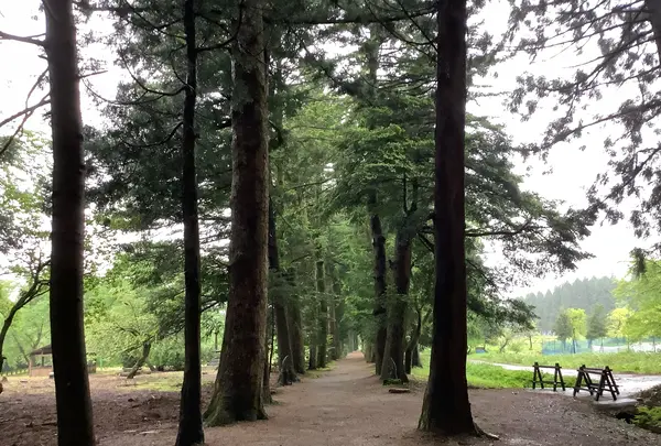 眼目山立山寺（通称さっかのてら）の写真・動画_image_601714