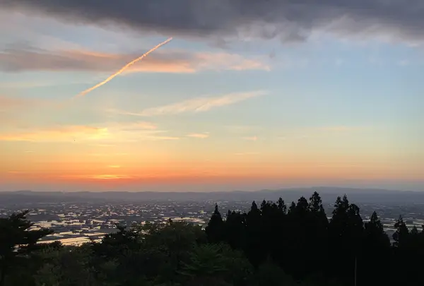 砺波平野の散居村（散居村展望台）の写真・動画_image_601740