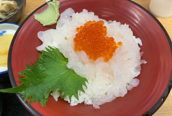 きときと食堂の写真・動画_image_601967