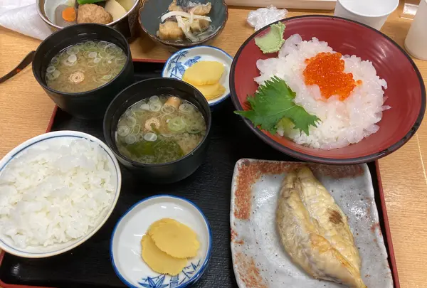 きときと食堂の写真・動画_image_601968