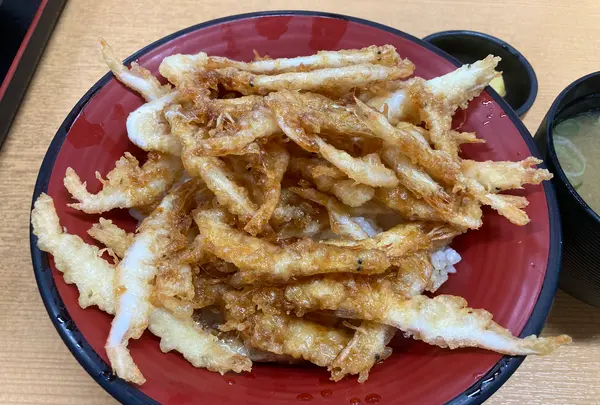 きときと食堂の写真・動画_image_601974