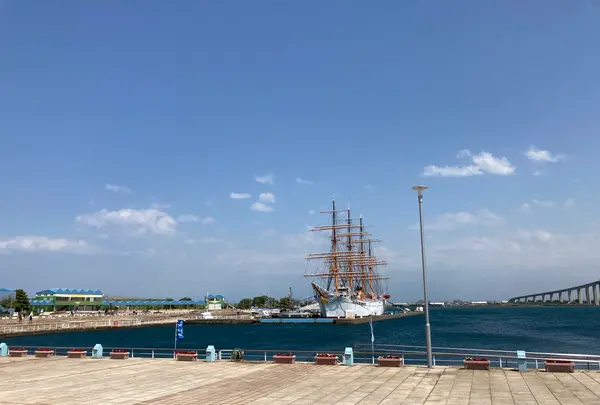 海王丸パークの写真・動画_image_601976
