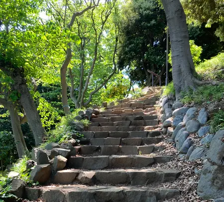 芝丸山古墳の写真・動画_image_602274