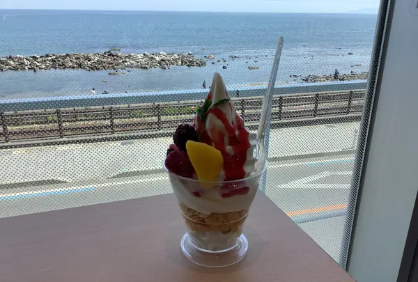 道の駅 雨晴の写真・動画_image_602338