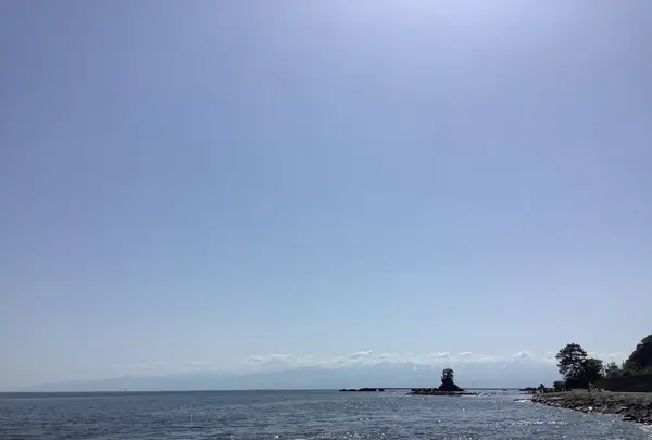 国定公園 雨晴海岸の写真・動画_image_602345
