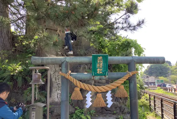 国定公園 雨晴海岸の写真・動画_image_602349