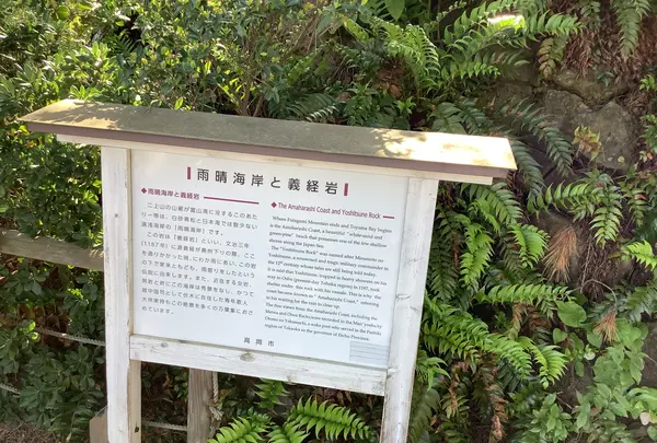 国定公園 雨晴海岸の写真・動画_image_602350