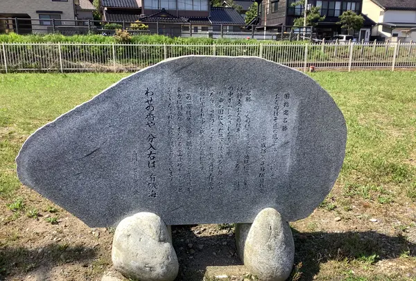 国定公園 雨晴海岸の写真・動画_image_602351