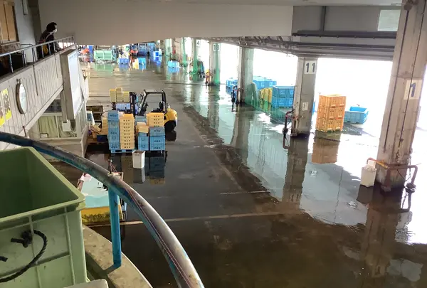 氷見 魚市場食堂 の写真・動画_image_602354
