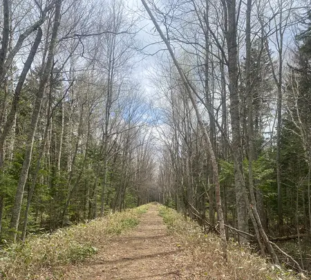 タウシュベツ川橋梁展望台の写真・動画_image_602653