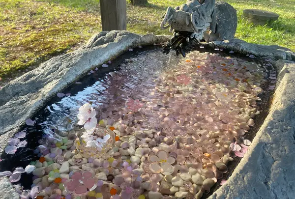 帯廣神社の写真・動画_image_602659