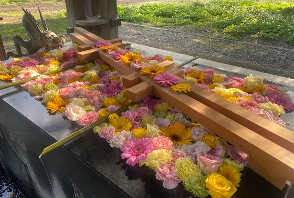 帯廣神社の写真・動画_image_602660