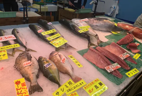 豊浜魚ひろばの写真・動画_image_602922