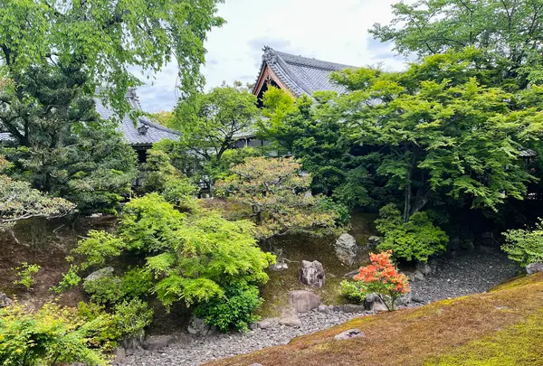 相国寺の写真・動画_image_603152