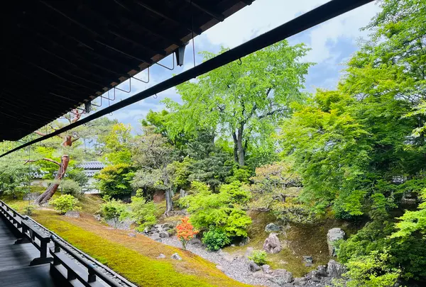 相国寺の写真・動画_image_603153