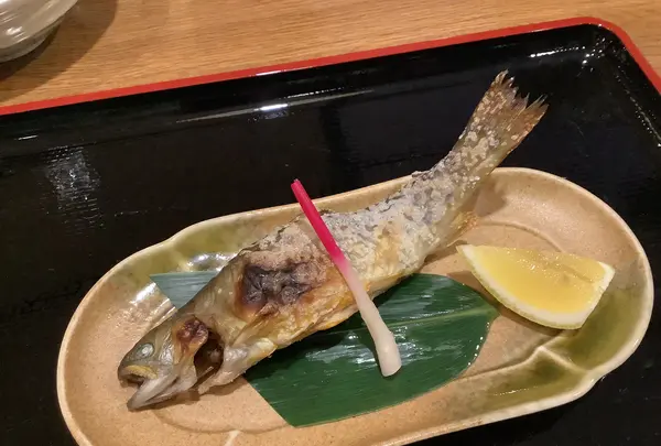 ふるさと保養センター清流の写真・動画_image_603200