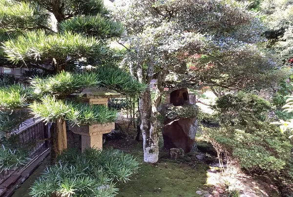 北前船主屋敷蔵六園の写真・動画_image_603205