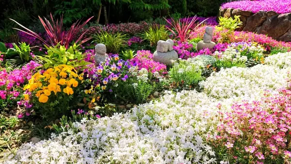 奈良 速成寺（永代供養・芝桜庭園樹木葬・納骨堂・お墓・水子供養）の写真・動画_image_603496