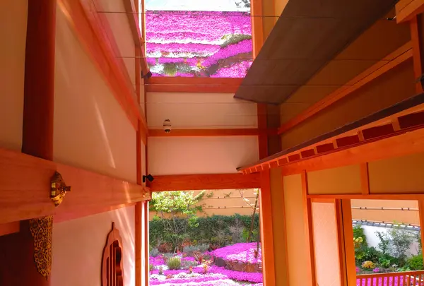 奈良 速成寺（永代供養・芝桜庭園樹木葬・納骨堂・お墓・水子供養）の写真・動画_image_603576