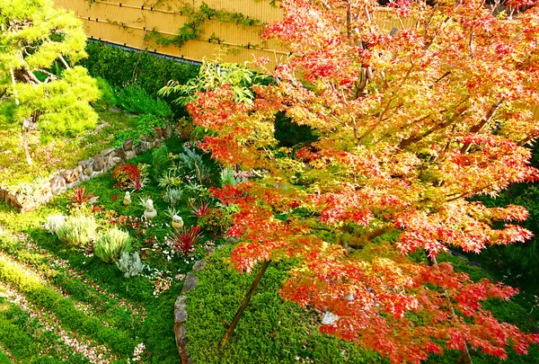 奈良 速成寺（永代供養・芝桜庭園樹木葬・納骨堂・お墓・水子供養）の写真・動画_image_603580