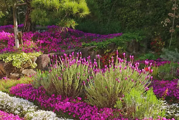 奈良 速成寺（永代供養・芝桜庭園樹木葬・納骨堂・お墓・水子供養）の写真・動画_image_603582