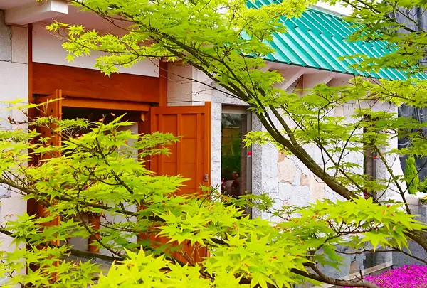 奈良 速成寺（永代供養・芝桜庭園樹木葬・納骨堂・お墓・水子供養）の写真・動画_image_603583