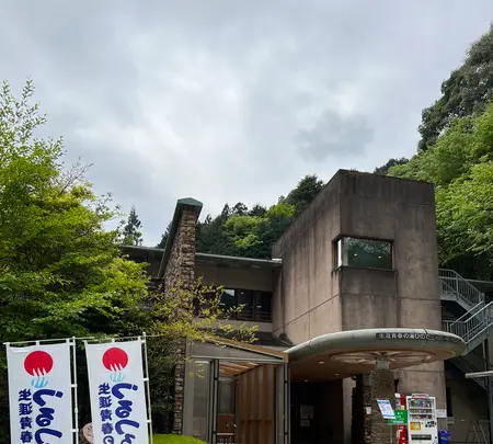 つるつる温泉の写真・動画_image_605046