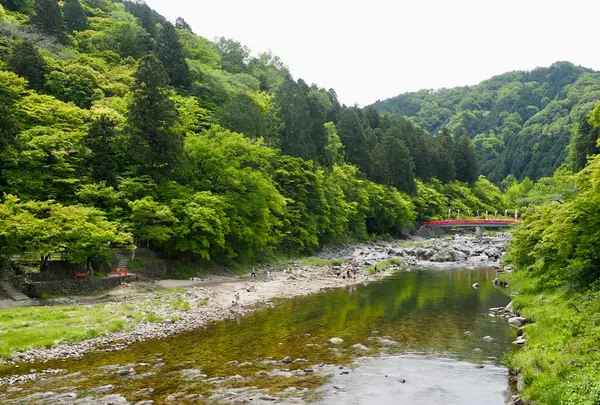 香嵐溪の写真・動画_image_605117