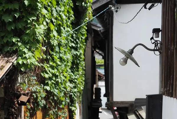 足助の町並みの写真・動画_image_605120