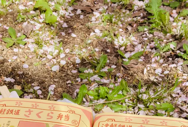 芦野公園駅の写真・動画_image_605566