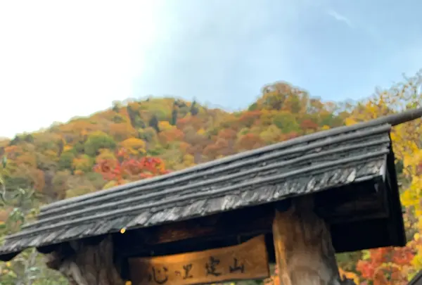 心の里 定山の写真・動画_image_606214