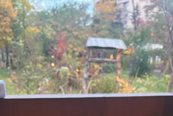 心の里 定山の写真・動画_image_606215