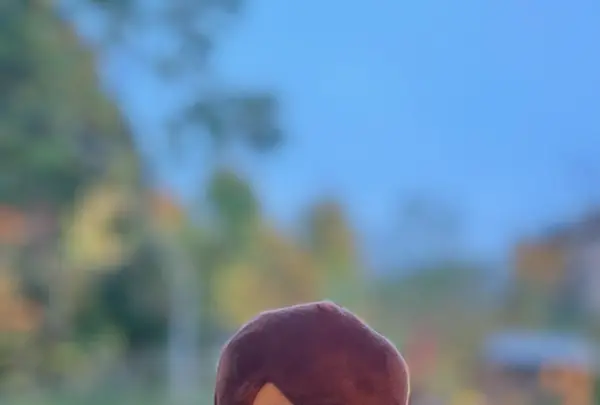 心の里 定山の写真・動画_image_606216