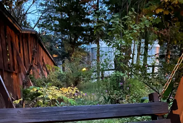 心の里 定山の写真・動画_image_606218