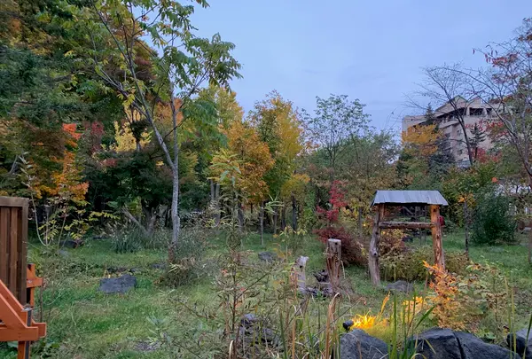 心の里 定山の写真・動画_image_606219