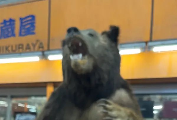 狸小路商店街の写真・動画_image_606228