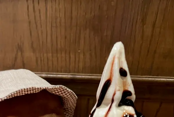 小樽出抜小路の写真・動画_image_606431