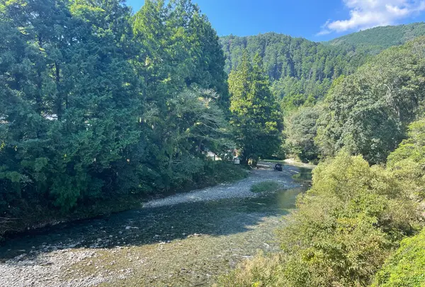 中華そば あたご商店の写真・動画_image_607025