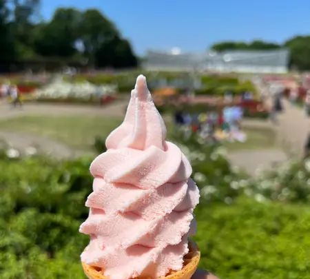 神代植物公園の写真・動画_image_607123
