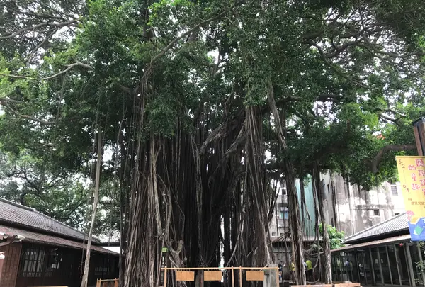 台中文学館の写真・動画_image_607210