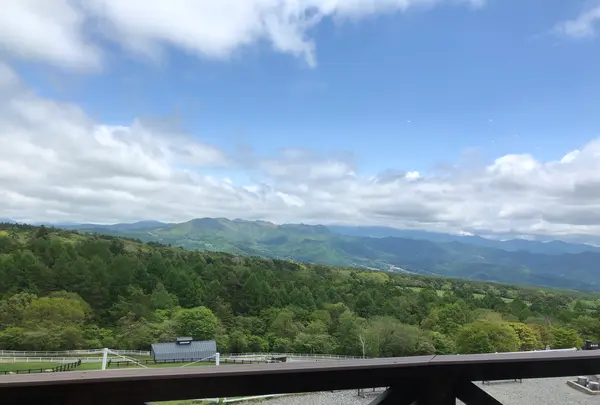 まきばレストランの写真・動画_image_608026
