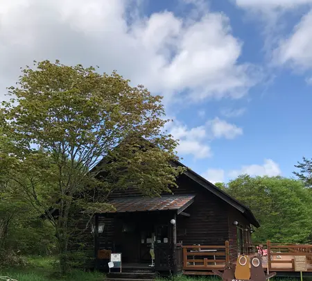 キープやまねミュージアムの写真・動画_image_608028