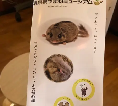 キープやまねミュージアムの写真・動画_image_608029