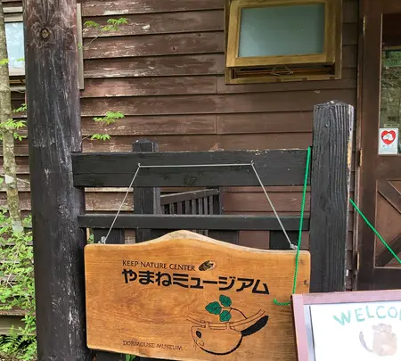 キープやまねミュージアムの写真・動画_image_608030